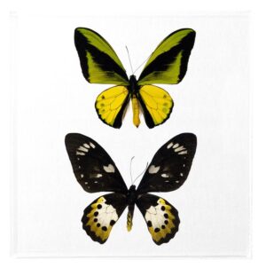 10 X 10 inch Square Case — D