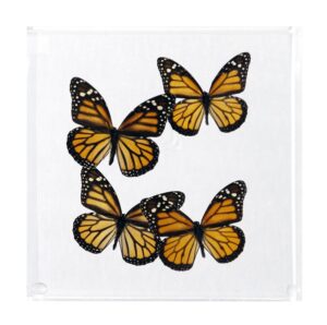 7 X 7 inch Square Case — AA