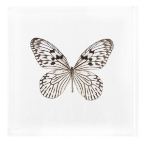 7 X 7 inch Square Case — KK